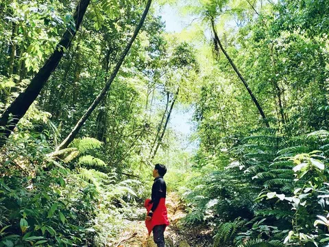 Độc đáo mô hình du lịch sinh thái của nhóm dược sĩ trẻ