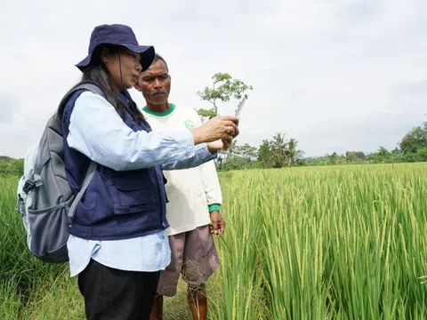 Siêu ‘Chiến lược nông nghiệp điện tử' sẽ thay đổi diện mạo nền nông nghiệp Indonesia