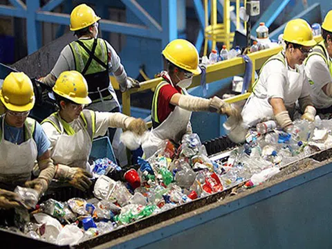Rác thải nhựa và vai trò của doanh nghiệp tái chế