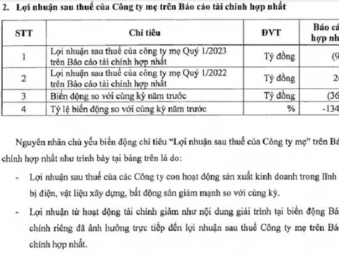 Kết thúc quý I/2023, lợi nhuận của Tập đoàn Gelex giảm 95% so với cùng kỳ, nợ vay lên đến hơn 18.000 tỷ