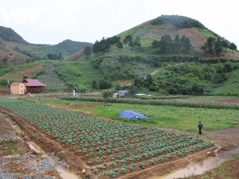 Giải pháp nào phát triển kinh tế tuần hoàn trong nông nghiệp?