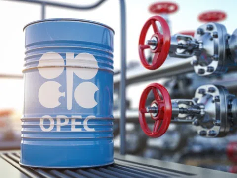 Giá cước vận chuyển dầu giảm mạnh sau khi OPEC+ cắt giảm sản lượng