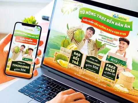 Thúc đẩy tiêu thụ hàng Việt với thương mại điện tử