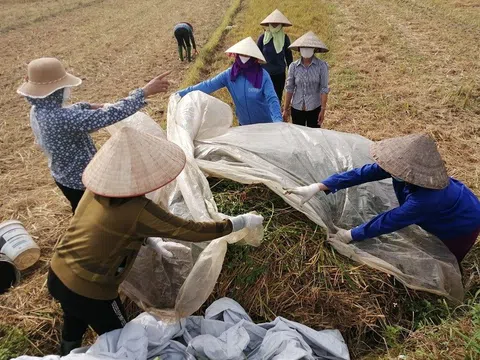 Sử dụng phân hữu cơ từ rơm rạ có thể làm giảm lượng phân bón hóa học, thuốc trừ sâu