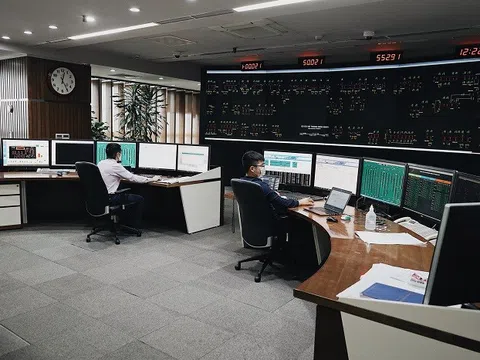 Tập đoàn Điện lực Việt Nam tạm đình chỉ chức vụ Giám đốc Trung tâm Điều độ hệ thống điện Quốc gia