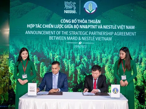 Nestlé thúc đẩy nền nông nghiệp phát thải thấp qua mô hình nông nghiệp tái sinh