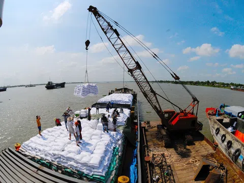 Xuất khẩu gạo Việt Nam 5 tháng tăng trưởng mạnh, vượt 3 triệu tấn