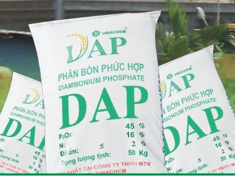 Phân bón phức hợp cao cấp DAP Đình Vũ, công dụng tuyệt vời đối với cây trồng