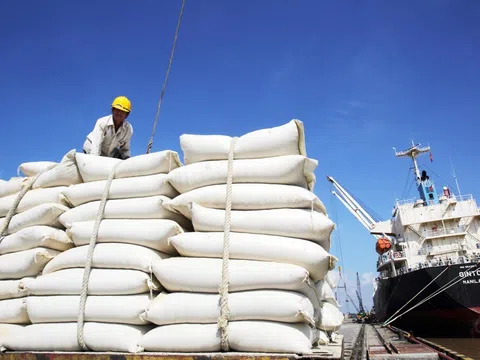 6 tháng đầu năm, giá trị xuất khẩu gạo ước đạt 2,3 tỷ USD