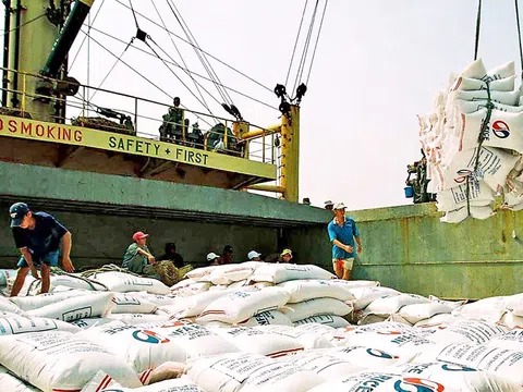 Xuất khẩu gạo sang Thổ Nhĩ Kỳ tăng đột biến gần 16.000% so cùng kỳ