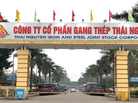 Kết quả kinh doanh Quý 2/2023 Gang thép Thái Nguyên báo lỗ lịch sử gần 100 tỷ đồng
