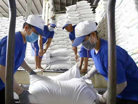 Ấn Độ cấm xuất khẩu gạo: Bộ Công Thương khuyến cáo doanh nghiệp