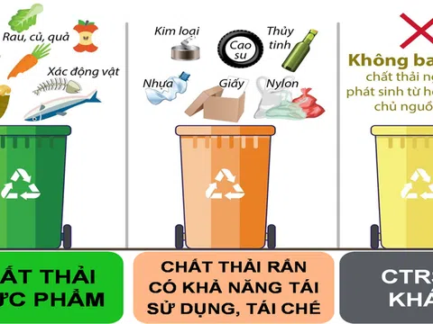 Sản xuất hữu cơ tái sử dụng phụ phẩm thải ra trong nông nghiệp và hạn chế rác thải nhựa