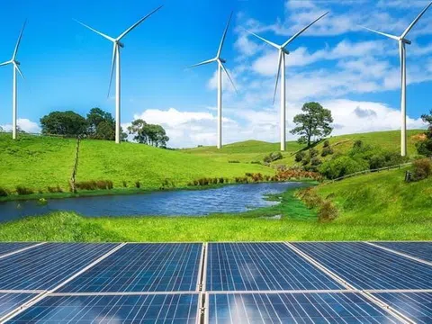 74/85 dự án năng lượng tái tạo chuyển tiếp đã gửi hồ sơ đàm phán giá điện