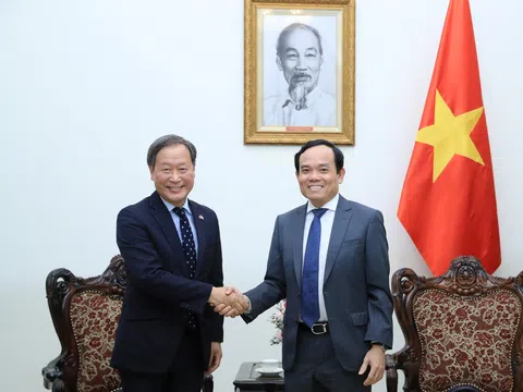 Phó Chủ tịch điều hành cấp cao JICA thăm và hội đàm với lãnh đạo cấp cao Việt Nam
