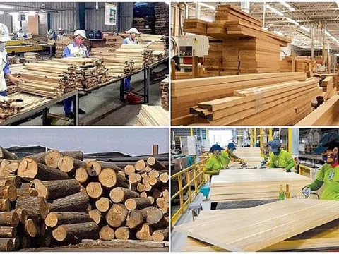 Ngành gỗ hướng đến thị trường tiềm năng ASEAN để vượt qua giai đoạn khó khăn