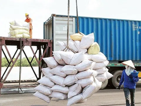 Tăng cơ hội đưa gạo Việt Nam tiếp cận thị trường Anh
