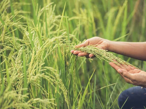 Để nền khoa học và công nghệ Việt Nam không tụt hậu so với thế giới