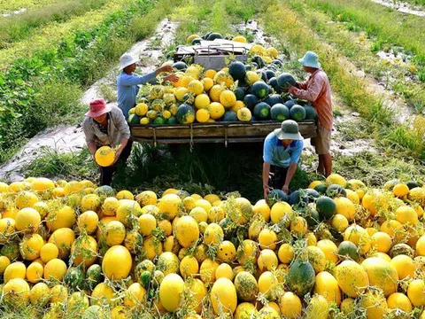 Tăng cường xúc tiến thương mại, quảng bá nâng tầm nông sản Việt