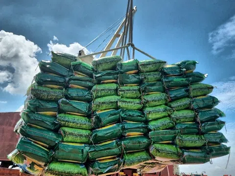 Nước mua gạo lớn thứ 3 của Việt Nam mở thầu nhập khẩu 300.000 tấn gạo