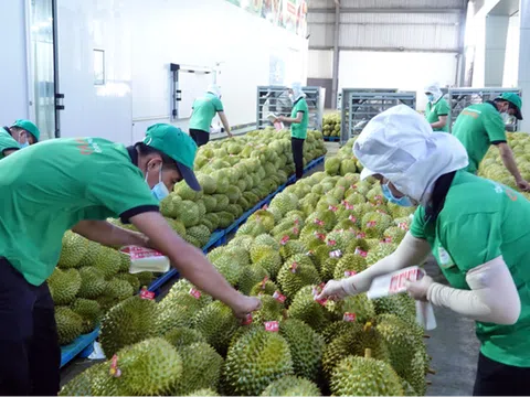 Cơ hội và thách thức mới trong xuất khẩu nông sản hiện nay