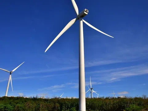 Điện gió sẽ thúc đẩy quá trình chuyển đổi năng lượng tái tạo tại Việt Nam