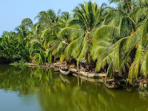 Bến Tre: Phát triển du lịch kết hợp khai thác sản phẩm từ cây dừa
