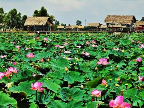 Phát triển Đồng Tháp thành tỉnh kiểu mẫu nông nghiệp sinh thái