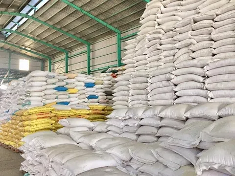 Indonesia muốn mua thêm 1,5 triệu tấn gạo dự trữ quốc gia trong năm 2023