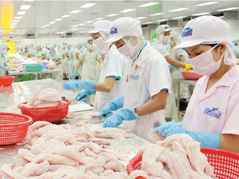 Mexico đứng đầu trong khối CPTPP nhập khẩu cá tra Việt Nam