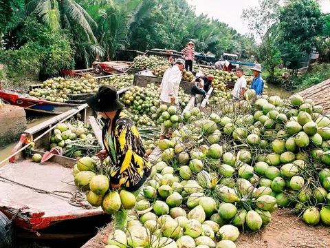 Tăng cường phối hợp để thúc đẩy liên kết vùng trong phát triển thương mại điện tử