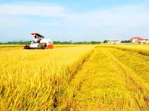 Tăng cường thu hút đầu tư nông nghiệp vùng Đồng bằng sông Cửu Long