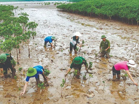 COP28: Ứng phó với biến đổi khí hậu phải thực hiện trên nguyên tắc công bằng