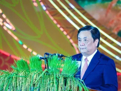 Khai mạc Festival quốc tế ngành hàng lúa gạo Việt Nam - Hậu Giang 2023