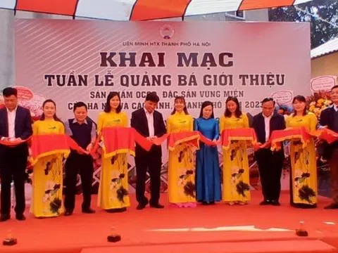 Hà Nội: Khai mạc “Tuần lễ quảng bá, giới thiệu sản phẩm OCOP, đặc sản vùng miền"