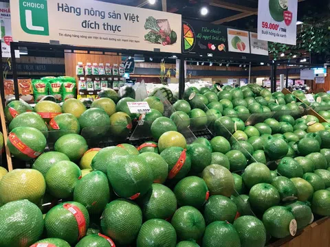 Hoa Kỳ là thị trường xuất khẩu lớn nhất của Việt Nam trong 2 tháng đầu năm