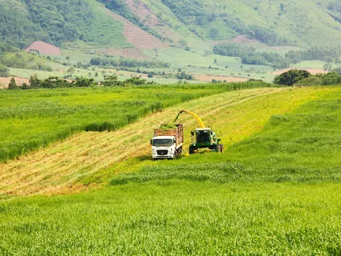 Khơi dậy tinh thần doanh nhân vì sự phồn vinh của đất nước