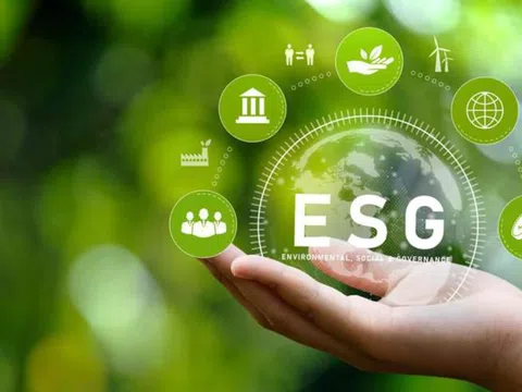 Thực hành ESG để đón đầu cơ hội chuyển đổi xanh