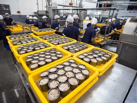 Xuất khẩu cá ngừ sang Canada tiếp tục đà tăng trưởng