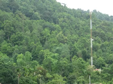 Hà Giang: Phát huy vai trò của Hương ước trong bảo vệ và phát triển rừng