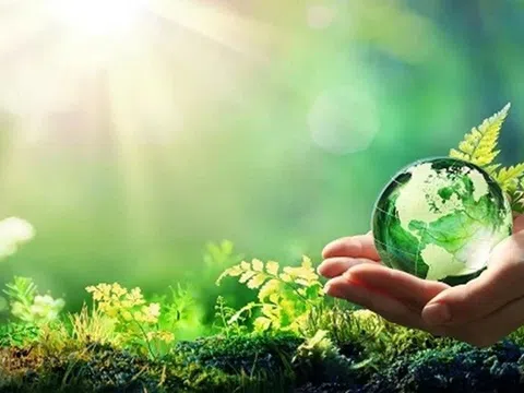 Phát triển bền vững là xu hướng tất yếu trong dài hạn của doanh nghiệp