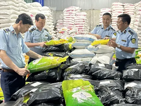 Bắc Ninh: Phát hiện cơ sở sản xuất gạo ST25 giả mạo nhãn hàng hóa và bao bì “Gạo Ông Cua”