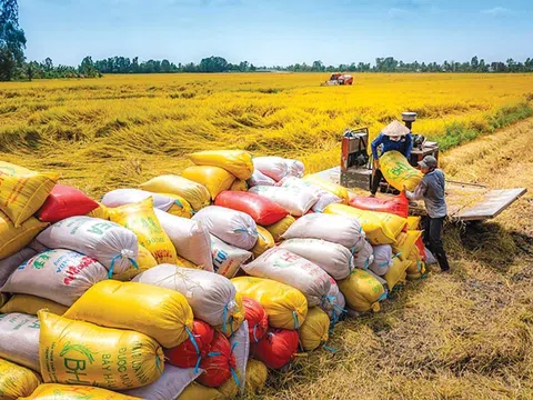 Việt Nam và Philippines hướng tới trở thành đối tác đầu tư trong ngành hàng lúa gạo