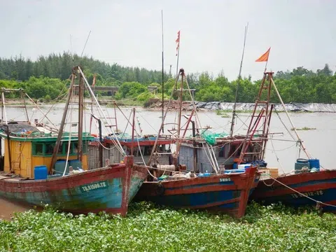 Thủ tướng Chính phủ ban hành công điện về ứng phó bão số 3