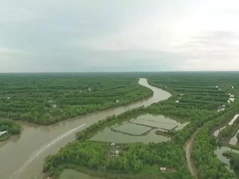 COP29 xác nhận khuôn khổ thị trường carbon toàn cầu do Liên hợp quốc hậu thuẫn