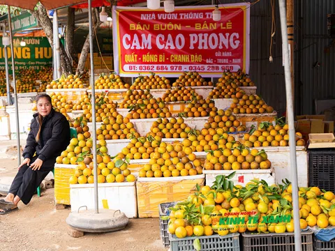 Quảng bá thương hiệu nông sản đặc trưng và kết nối tiêu thụ tại Lễ hội Cam Cao Phong