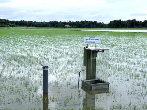 Mạng lưới giám sát phát thải khí mê-tan: Công nghệ hỗ trợ canh tác lúa thông minh và bền vững