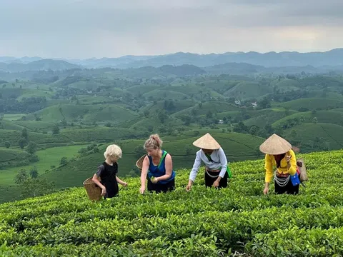 Thu hút tài chính xanh cho phát triển nông nghiệp tại Việt Nam