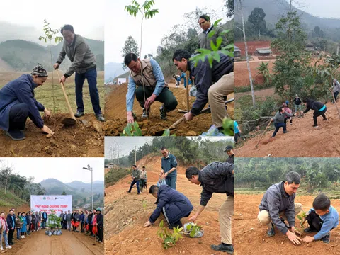 Phát động phong trào "Tết trồng cây đời đời nhớ ơn Bác Hồ” tại Làng Nủ