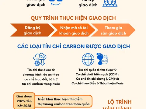 Xây dựng thị trường carbon tại Việt Nam để chuyển đổi xanh